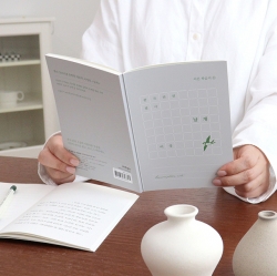 A transcriprtion note - The Wings