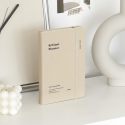 2026 Brilliant Daily Planner Diary