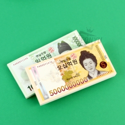 Money Multipurpose notebook, Random