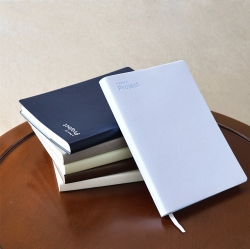 [Dated] 2026 A Piece Of Project Diary