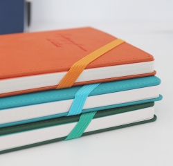 My Day Hard Cover Strap Card Pocket End of Life Diary Note A5