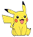 Pokemon icon